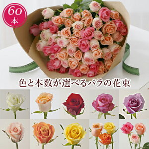 o ԑ 60{ җj a { w u_[YE60{v  NސE j j IW sN  F   v[g Mtg LO j LO ʉ