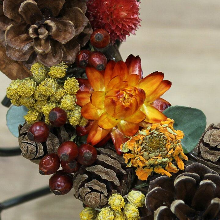 楽天市場】リース ドライフラワー 秋の花 ギフト プレゼント 「Harvest  