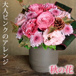  AWg a LO uRouge de Bordeauxv H̉ vw̓ o J[l[V LO j Mtg v[g a LO j   t[ A