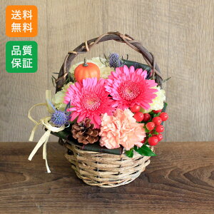  a ꂳ  AW H̉ uAutumn Harvest`̏H`v K[x J[l[V oXPbg Mtg v[g LO j   sN ڂsbN