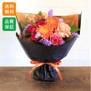 ԑ u[P H̉ ԑuLet's enjoy Halloweenv K[x J[l[V bsO LO j Mtg v[g a LO j   ̂܂܏ nEB n