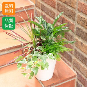 񂹐Au΍ʁ`Nature Frame`v Mtg v[g a LO j   rO e[u   Ƒ  H  2025