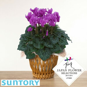 VN Iׂ6 A a ~̉ Mtg v[g uVN@̓T[sN/Vo[GbWCbht/ނ炳oCJ[/Au\hD/Z