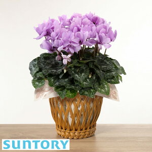 VN Iׂ6 A a j ~̉ Mtg v[g uVN@̓T[sN/Vo[GbWCbht/ނ炳oCJ[/Au\hD