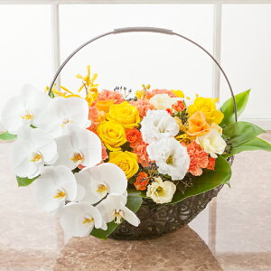 Ӓ AWg JXj LO  Ԃ Mtg t[AWg o ut@mvVX oXPbg`pink/yellow`v a  v[g j