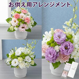 y݁ẺԁzAWguh`t`v ފ   t[ ފ   @v d   l\ O  V @   r