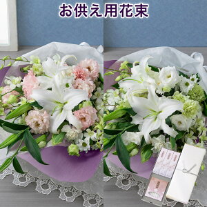 ~ ~ V~ ~ y݁Ẻԁzԑuԕ̂`t`v ފ   u[P ފ   @v d   l\ O   V {