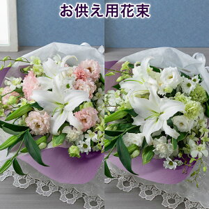 ~ ~ V~ ~ y݁Ẻԁzԑuԕ̂v ފ   u[P ފ   @v d   l\ O   V @   