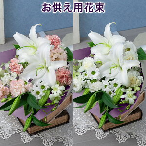 y݁Ẻԁzԑȕv ފ   u[P ފ   @v d   l\ O   V @   r 蕨 
