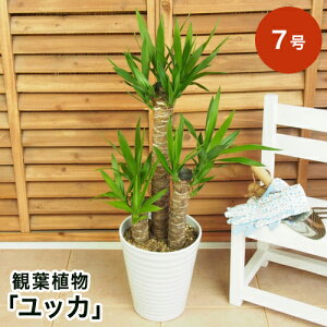 yϗtAzbJ 7 CeA O[ ϗt A t[ Mtg  v[g j LO 蕨 TvCY a LO JXj Vzj   ʉ  O