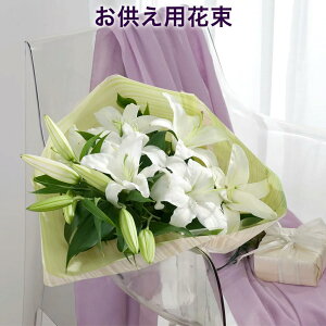 y݁ẺԁzufbNX[v ފ   t[AWg ފ   @v d   l\  V { @   