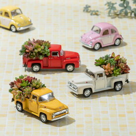 楽天市場 鉢植え 花 室内の通販