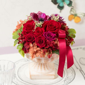 vU[uht[ AWg o  u}[^[W v  Mtg a җj LO v[g j LO 蕨 JXj ʉ }