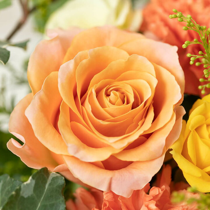 楽天市場 アレンジメントフラワー サニー オレンジ 花 ギフト 誕生日 結婚記念 生花 フラワー プレゼント お祝い 記念 贈り物 サプライズ 開店祝い 送別会 歓送迎会 新築祝い 発表会 定年 退職 感謝 バラ カーネーション イイハナ ドットコム