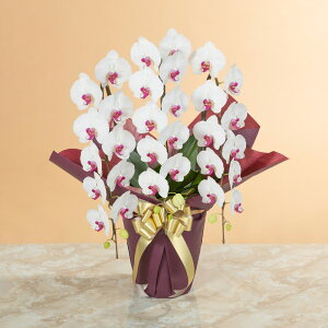 yӒz Au֌Ӓ3{iԃbvj`XyVNX`v  Mtg a LO v[g j Ԕ LO  t[Mtg 蕨 J AC i h] ݗ 