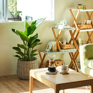 yϗtAzuXg`A@8v CeA O[ ϗt A t[ Mtg  v[g j LO 蕨 TvCY a LO JXj Vzj   