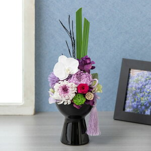 y݁ẺԁzvU[uht[uӒ`Yumekocho`vފ   ފ   @v  l\  V @   r e o 