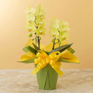 yӒz Au~fB[Ӓ2{iFjv  Mtg a LO v[g j Ԕ LO  t[Mtg 蕨 J AC i h] ݗ Vz JXj ʉ 