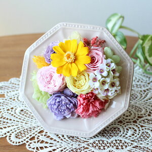 vU[uht[ WjA Mtg v[g uCheerful Framev ~jo NVbN[Y J[l[V t[ p` NAP[X 킢 i pXeJ[ Ce