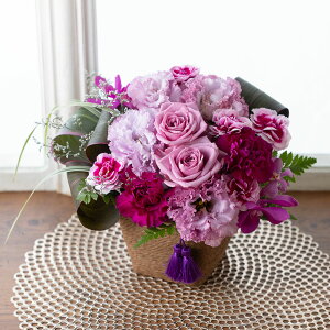 AWg  Mtg v[g AWguԁiƂ͂ȁj`/`v o J[l[V oXPbg җ Ê  j a LO j   a   