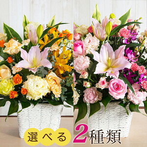 IG^S AWguBright future`Pց`Mix^Pink`v av[g v[g Mtg Ԃ𑡂 a 蕨 j o Ci D JXJƏj Vzj 