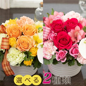 バラ アレンジメント「ル・リュバン・グラン〜Orange／Rose〜」 プレゼント ギフト 花を贈る 誕生日 贈り物 お祝い リボン メッセージ入りタグ かわいい おしゃれ インテリア 50代 60代 70代 おしゃれ かわいい イイハナ イイハナドットコム いいはな