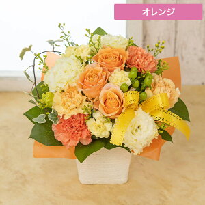 a  AWguIW^sNE[YoXPbgvo v[g Mtg Ԃ𑡂 a LO 蕨 j D 40 50 60  킢 CCni CC