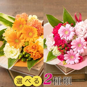 K[x ԑ IW sN l Ǝ }uWFuEE[W^[Yv v[g Mtg a j J[l[V gRLLE 