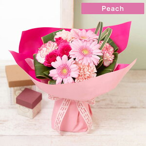 a ԑuX^hu[P`Orange^Peach`v v[g Mtg Ԃ𑡂 a 蕨 j o ̂܂܏u[P 킢  40 50 60  킢 CCni 