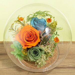 NX}X [~ MOOMIN vU[uht[ a 7 Mtg v[g  LO k j   Ƒ t[ CeA ̂ЂTCY ut[h[v[~ X