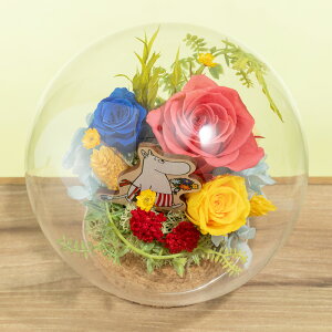 NX}X [~ MOOMIN vU[uht[ a 7 Mtg v[g  LO k j   Ƒ t[ CeA ̂ЂTCY ut[h[v[~ X