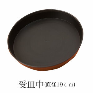 w󂯎Mia19cmjxvX`bNyAƓEPiwsz[g-ukezaramb]