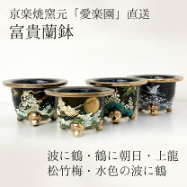楽天市場】富貴 蘭 鉢の通販