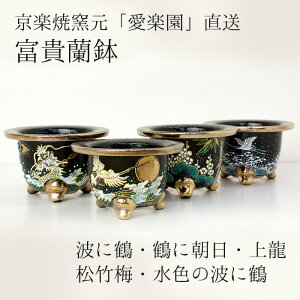 �_�y�V�����L���O1�ʁ^ �����y�ėq���u���y���v�������w�x�M�����@�g�ɒ߁E�߂ɒ����E�㗴�E���|�~�E���F�̔g�ɒ߁x 3.0�� 3.3�� 3.5�� �є� [g-airaku-f02]