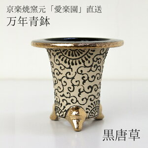 _yVLO1ʁ^ yėquyvwNiƔj x 3.0 3.3 3.5 є [g-airaku-m02]