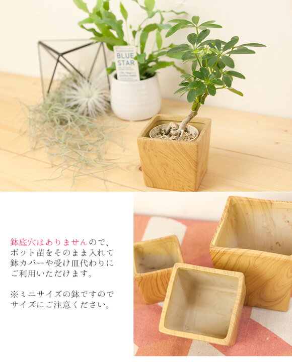 楽天市場】木目調 ミニ陶器鉢 『moku』シリーズ SS/S 2サイズ展開  
