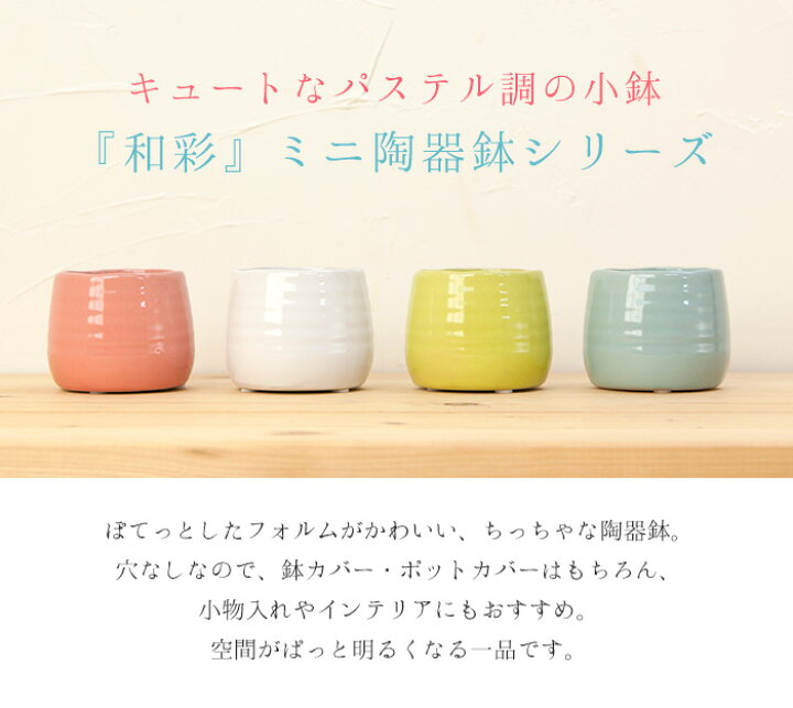 楽天市場】パステル調 ミニ陶器鉢 『和彩』シリーズ SSサイズ グリーン  