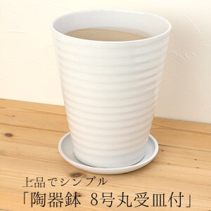 픫󂯎MZbgw픫 8  Mtxa23.5cm Vv i  Aؔ Jo[ɂ  O CeA ϗtAɂ [g-MIC3-235]