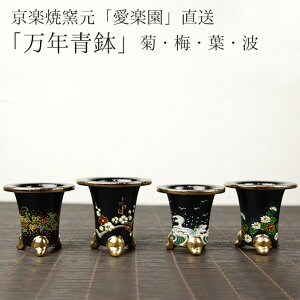 プランター 万年青の人気商品 通販 価格比較 価格 Com プランター 万年青の人気商品 通販 価格比較 価格 Com
