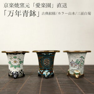 プランター 万年青の人気商品 通販 価格比較 価格 Com