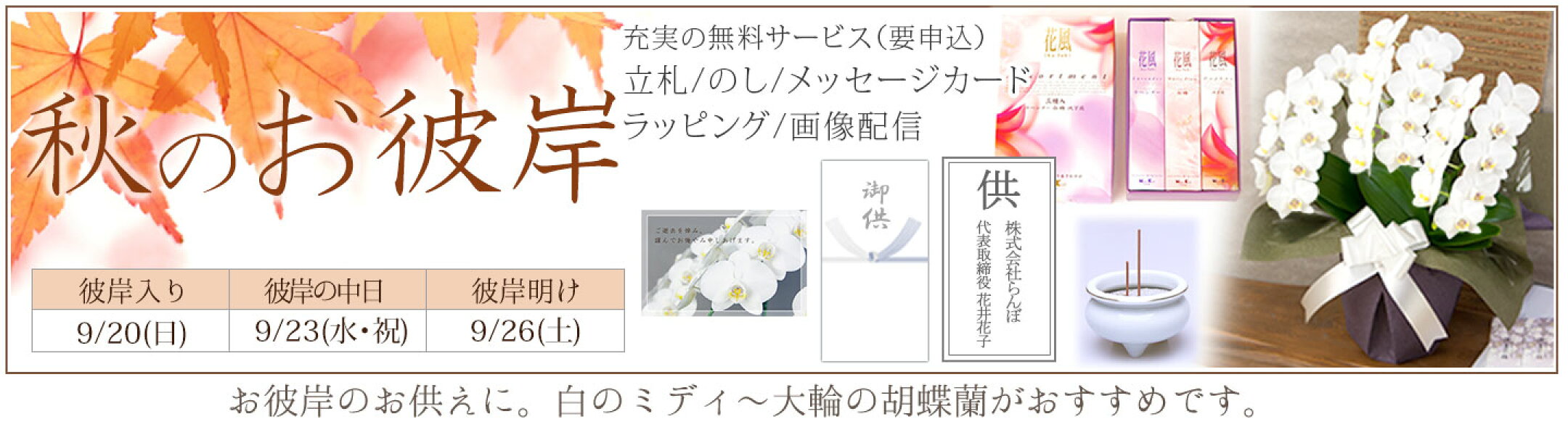 秋のお彼岸…お供えに胡蝶蘭
