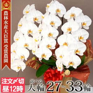 _yVLO1ʁ^ Ӓ  3{ ʏ30ց`(Q܂)   Mtg JXj j 䋟 ̓ a JƏj 呍  ACj ij KF Ij  