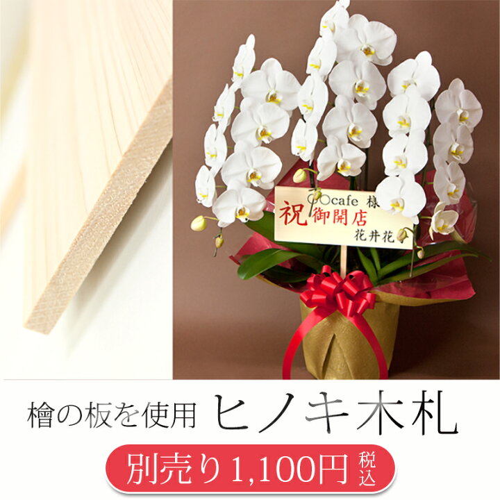 楽天市場 単品購入不可 対象胡蝶蘭のみ同梱可 ヒノキ木札 3号 立札 R Kihuda01 胡蝶蘭専門農園 Iファーマーらんぼ