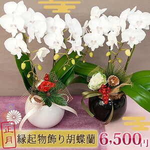 2025-2026 Ε N 菤i u~fBӒ2{ }tNsbNtv   Mtg Ζ Ӓ Ε [r-nen2014_01]