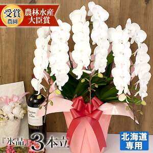 ykCpz Ӓ ց`ցuXv3{ }g܂͎Дzł͂ kC  JƏj Mtg  j JXj  [r-hyo3fh]