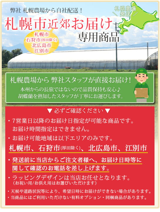 楽天市場】【札幌周辺 お届けエリア限定】 胡蝶蘭 豪華 特注白大輪 10 