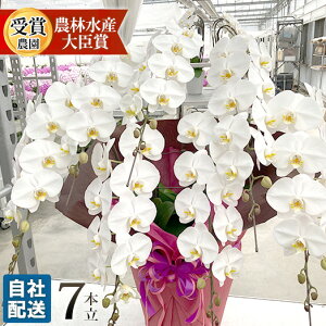 C3imE򕌁EOdj͂ Ӓ   7{ S̎Дz JƏj Mtg JXj Ԃj \ W ܏j ͏j 䋟  ݉ 