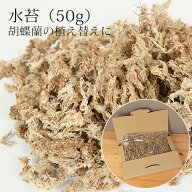＼楽天ランキング1位／ 【ゆうパケット送料無料】胡蝶蘭の植え替えに「水苔 50g入」植替え 植えかえ 育成…