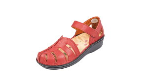 HPS@hps@O@NC@Ȃ@T_ No.10767i`F[jڂT_b@킢@C@₷@ɂ@̓@v[g@o@{v@