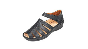 HPS@hps@Ȃ@T_@O@NC@No.10996iubNjڂVT_b@₷@̓@v[g@yȌC@o@{v@JWA C